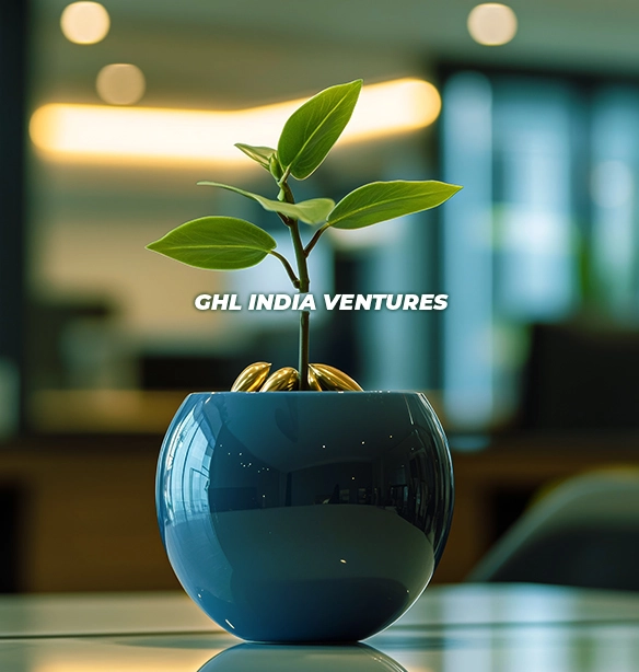 Alternate Investment Fund